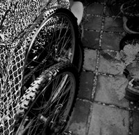 Black and White Bicycle Tires