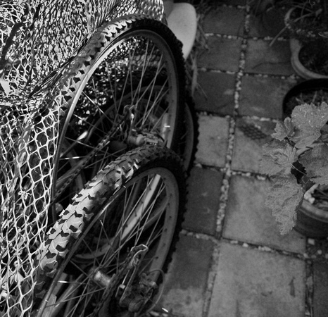 Black and White Bicycle Tires