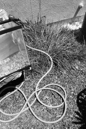 Hose Coiled on Ground BnW