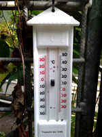 Greenhouse Thermometer