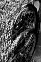 Bicycles and Mesh